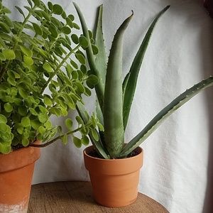 Meet your Posher, Reloved Today!